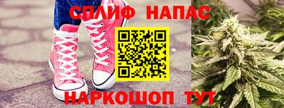 прущие грибы Бузулук