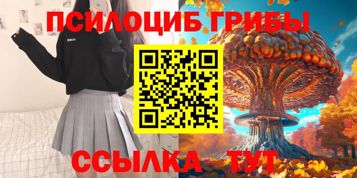 Галлюциногенные грибы Psilocybine cubensis Урюпинск