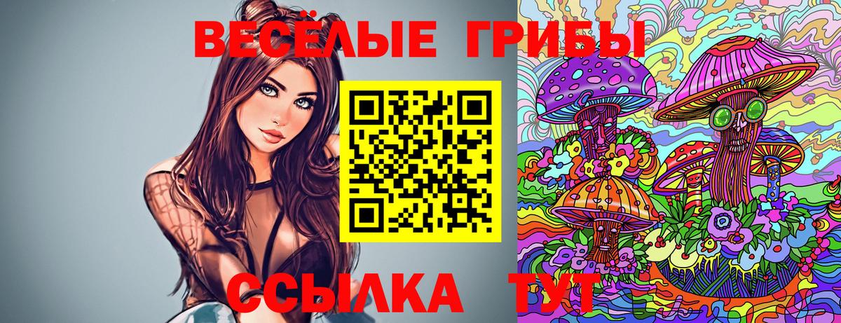 Псилоцибиновые грибы Magic Shrooms  Вход с VPN  Урюпинск  Псилоцибиновые грибы Psilocybe 